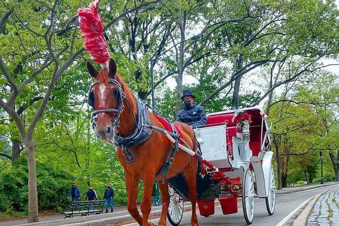 NYC Central Park VIP Horse and Carriage Ride - Meeting and Pickup Details