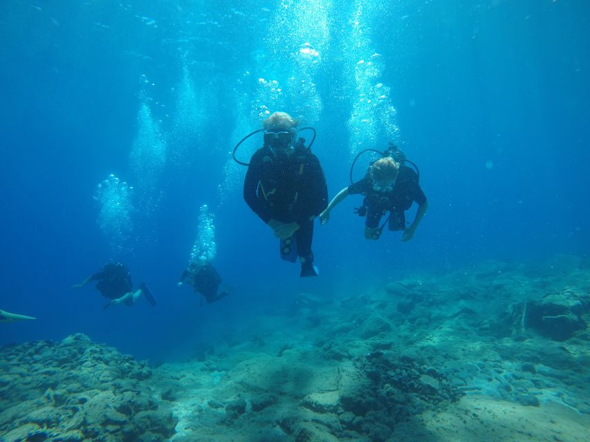 Oia: 2 Guided Scuba Dives off Santorini for Certified Divers - Customer Reviews