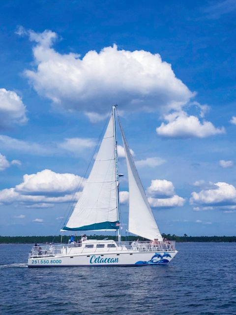 Orange Beach: Sun and Sailing Cruise Aboard Catamaran - Inclusions and Exclusions