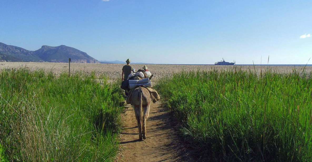 Orosei Gulf: 3 Days Trekking With Donkeys - Important Guidelines and Restrictions