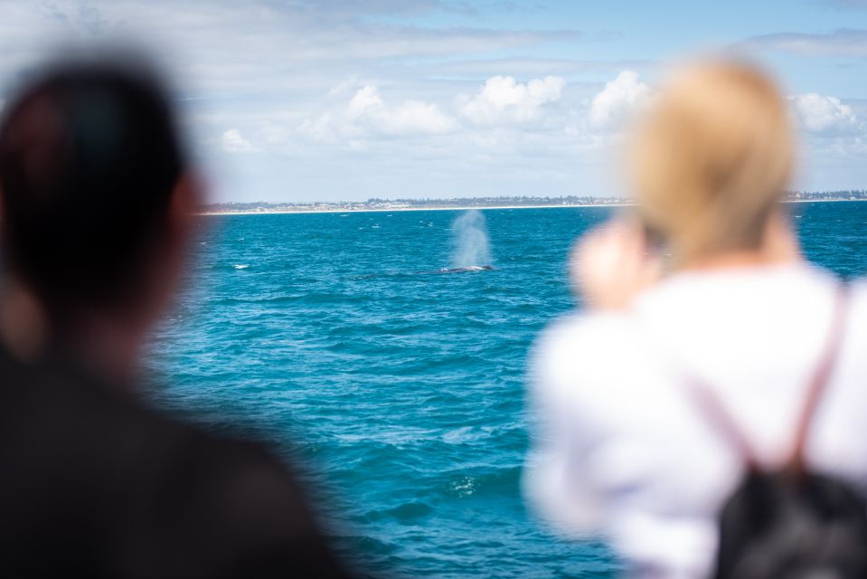 Perth: Whale Watching Cruise From Hillarys Boat Harbor - Logistics