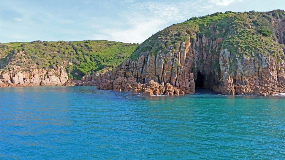 Phillip Island: 1-Hour Cape Woolamai Scenic Cruise - Experience Highlights