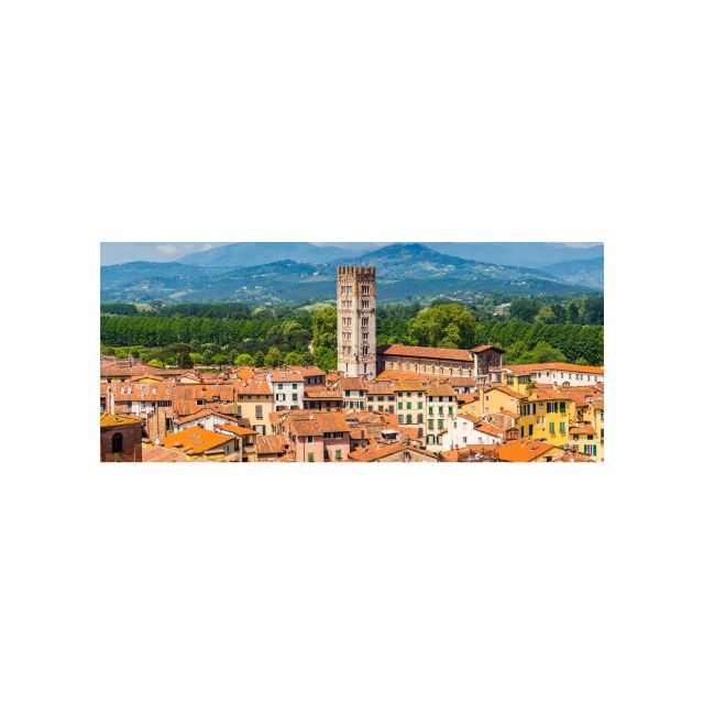 Private City Tour in Lucca Half Day - Experience