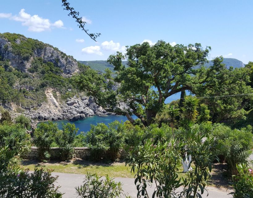 Private Corfu Beaches Tour: Paleokastritsa & Glyfada - Provider Information