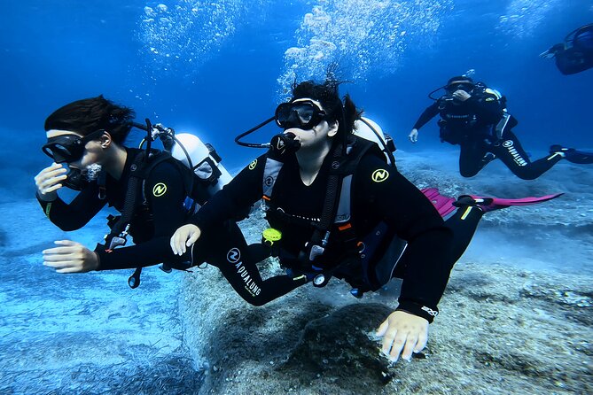 Private Discover Scuba Diving Experience in Messinia - End Point and Logistics