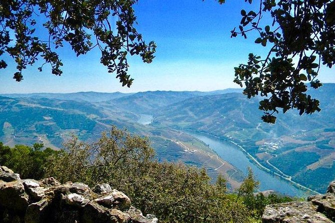 Private Douro Valley - Senses Experiences - Expert Guides and Local Insight