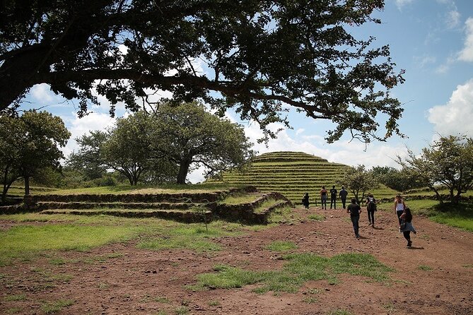 Private Full-Day Tour to Tequila and Guachimontones - Traveler Feedback and Ratings