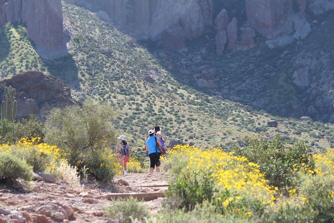 Private Half-Day Apache Trail Tour With Pickup - Cancellation Policy