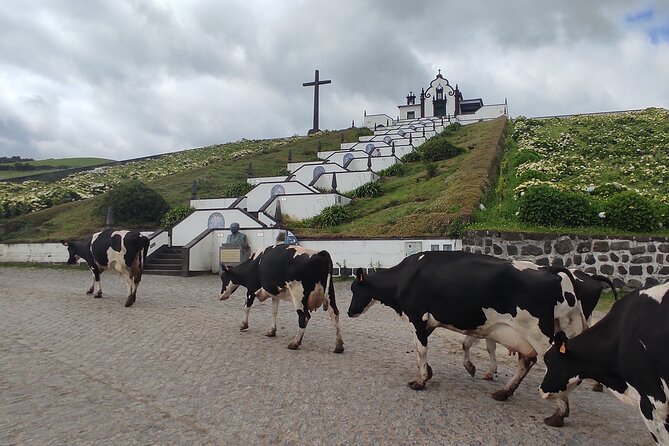 Private Jeep Tour in São Miguel Island - Cancellation Policy