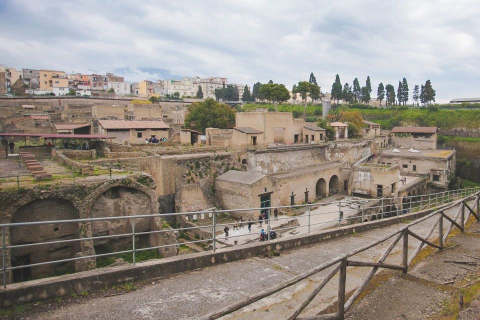 Private Pompeii Tour and Wine Tasting - Inclusions and Important Information