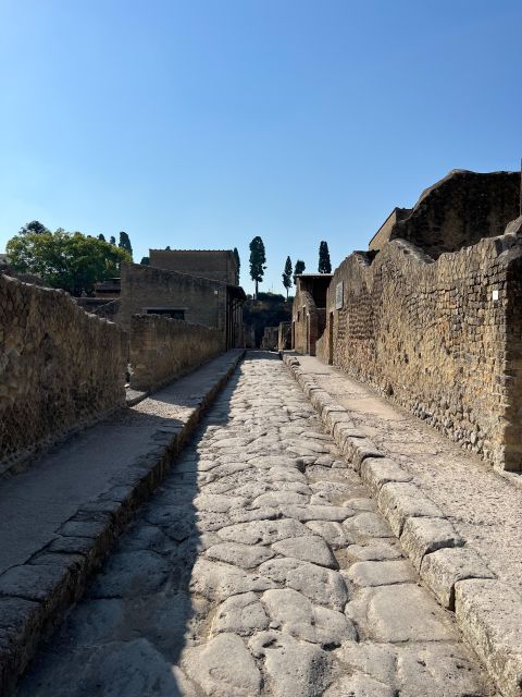 Private Tour Mt.Vesuvius&Herculaneum - Directions