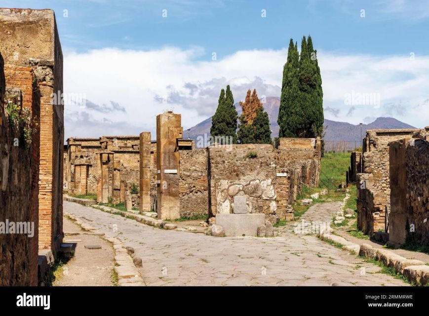 Private Tour Pompeii+Mont. Vesuvius - Inclusions