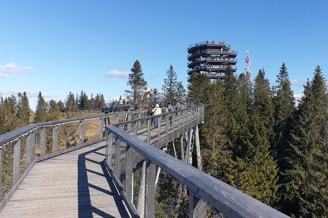 Private Tour to Slovakia Treetop Walk and Thermal Baths - Pricing Details