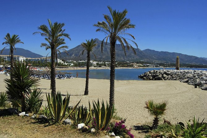 Private Transfer From Mijas to Malaga (Agp) Airport - Service Features and Inclusions