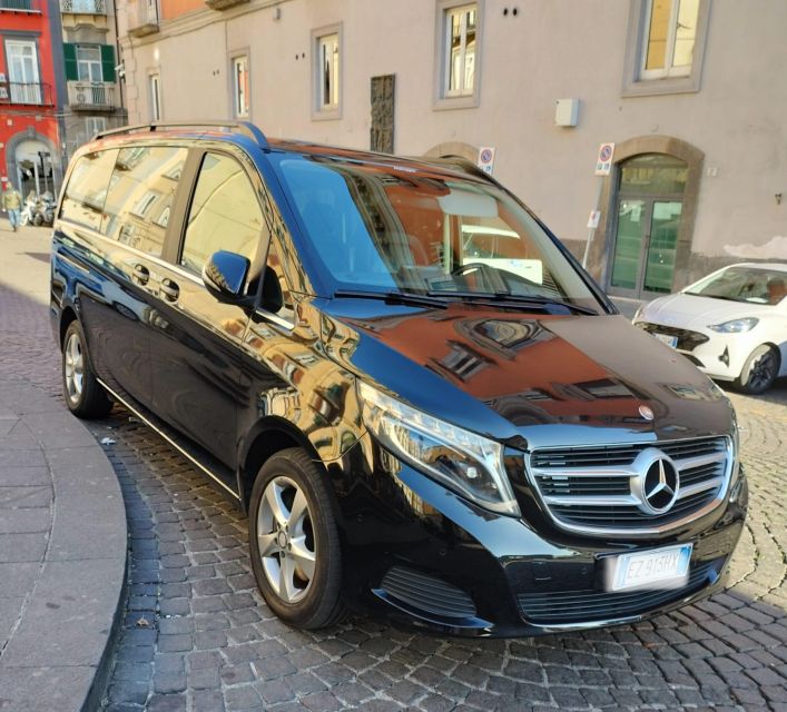 Private Transfer From Rome to Naples or Vice Versa - Fleet and Drivers