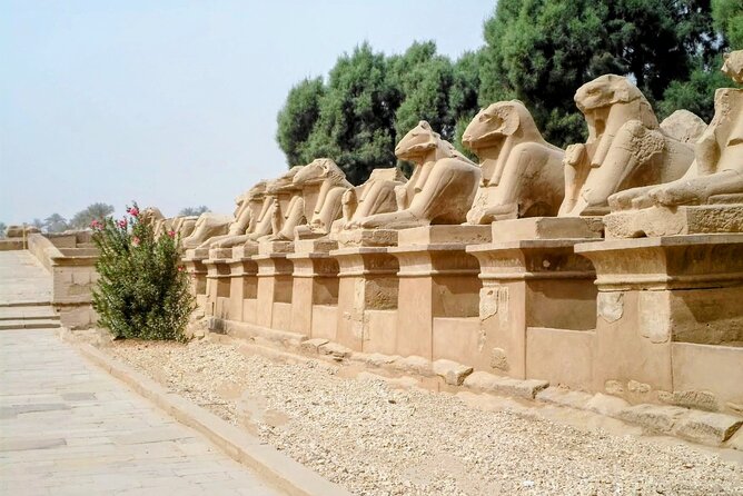 Private Transfer Service to Luxor and Karnak Temples - Cancellation Policy Details