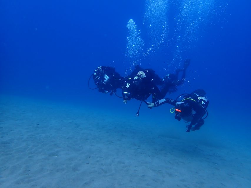 Puerto Del Carmen: Try Scuba Diving From the Beach - Discover Playa Chica Marine Life