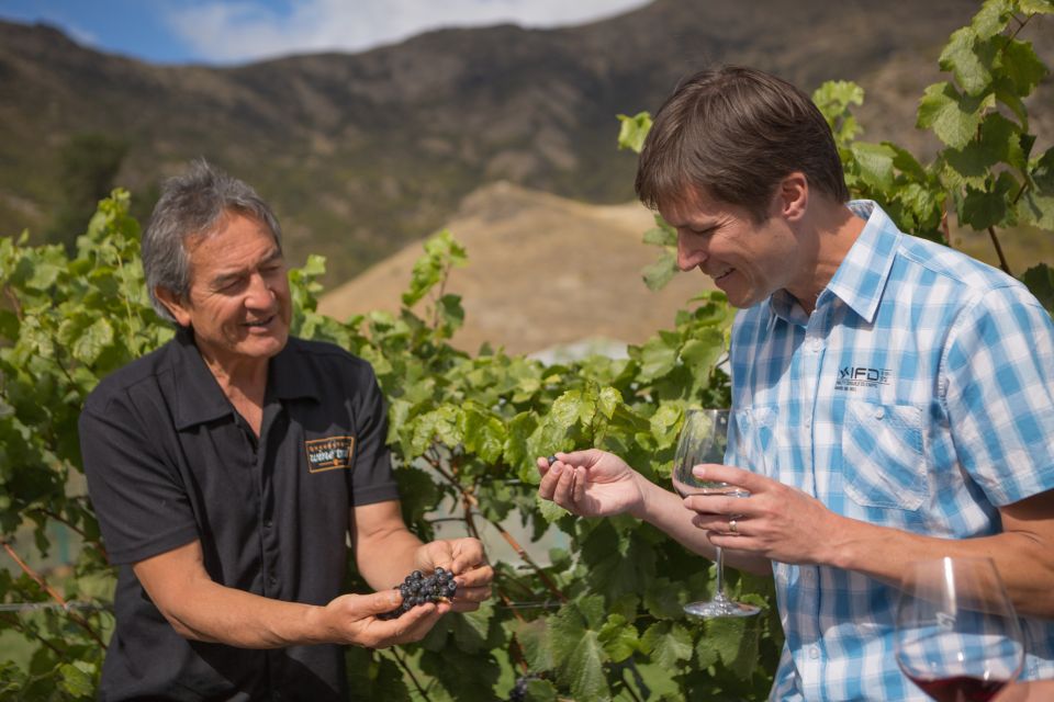 Queenstown: Afternoon Wine Tasting Tour With 3 Wineries - Booking Information