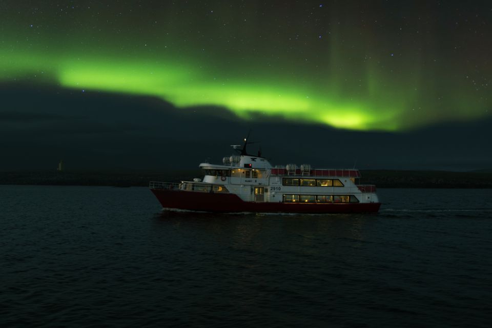 Reykjavík: Northern Lights Cruise - Customer Reviews