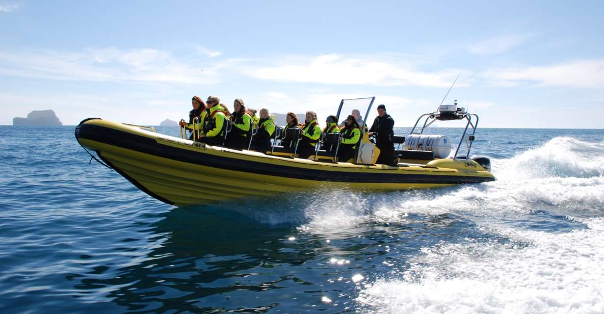 Reykjavik: Whale Watching by RIB Speedboat - Full Activity Description