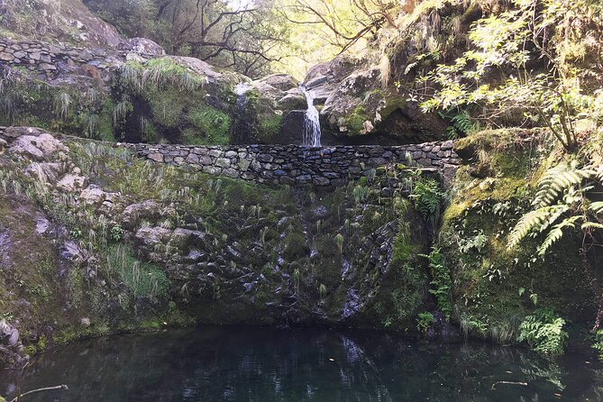 Ribeiro Frio to Portela Levada Walk - Scenic Highlights Along the Way