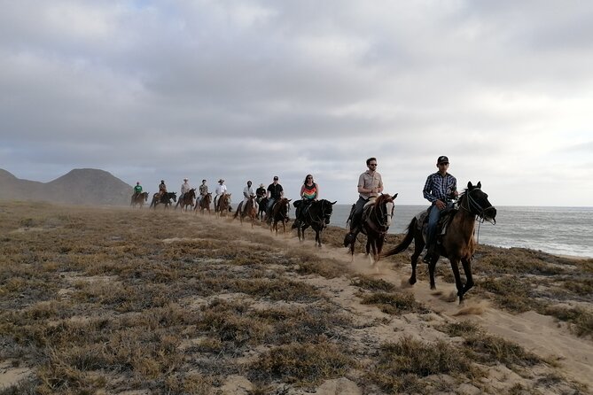 Ride a Horse Around the Beautiful Beaches of Todos Santos. - Operating Hours and Cancellation Policy