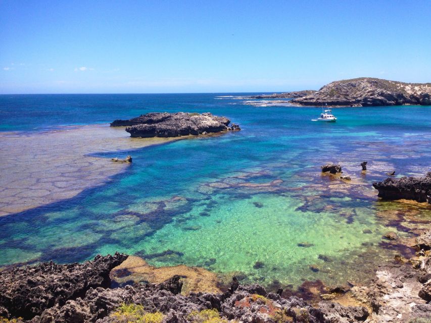 Rottnest Island Segway 1-Hour Settlement Tour - Inclusions