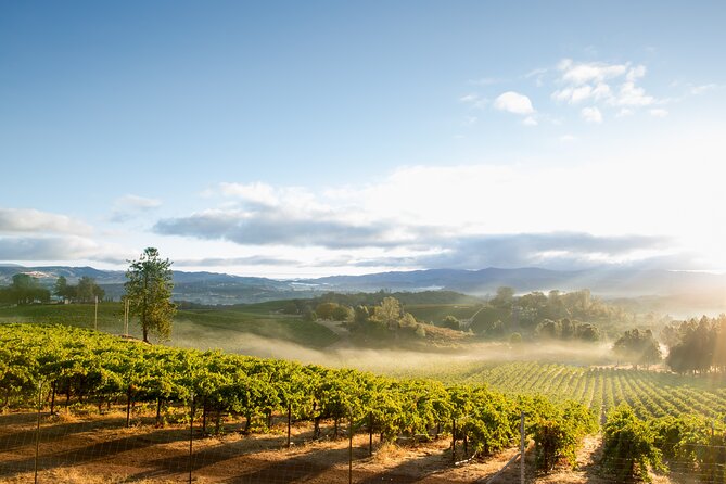 San Francisco: Napa Valley Wine Tour and Muir Woods Guided Tour - Customer Experiences
