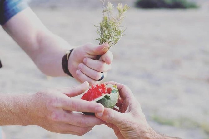 Santorini Anhydrous Croft Tour With Local Food & Wine Tasting by a Local - Local Guides