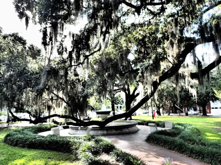 Savannah Urban Adventure Quest Scavenger Hunt