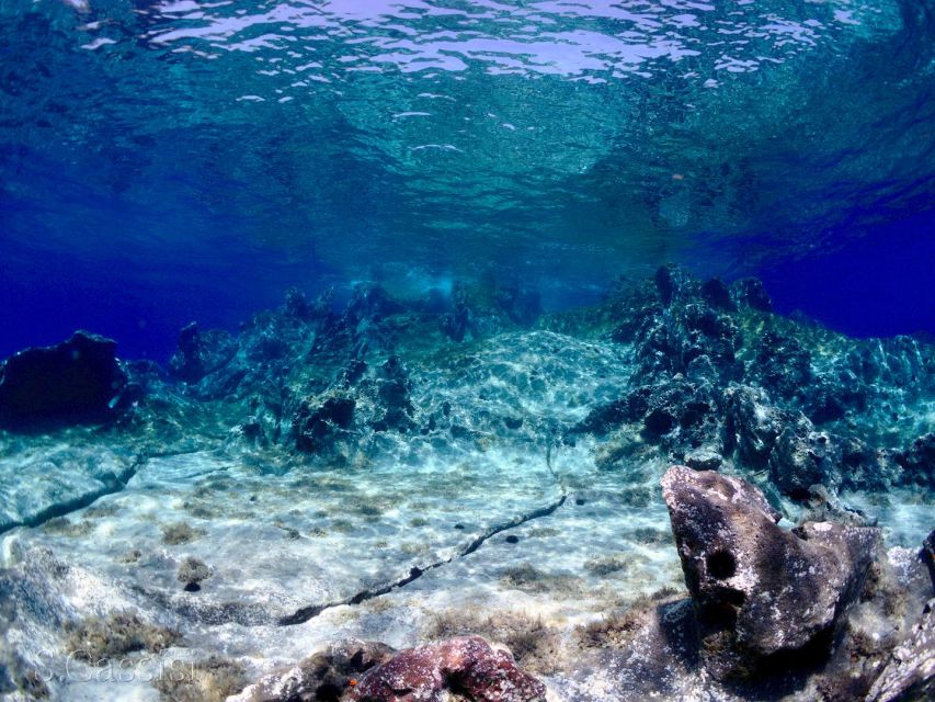 Scuba Diving to the Aeolian Islands From Milazzo - Inclusions in the Package