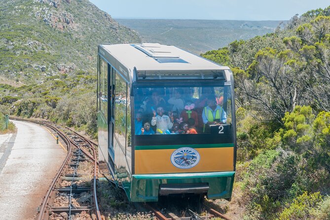 Sea Kayak and Cape Point Private Tour From Cape Town - Departure Point and Itinerary