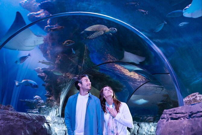 SEA LIFE San Antonio Admission Ticket - Reviews