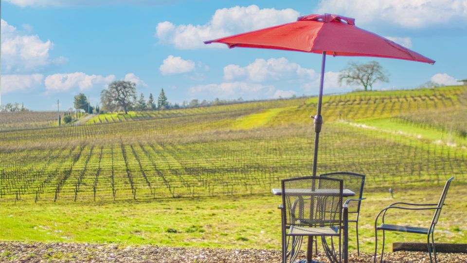 Self-Guided Wine Tasting Audio Tour - Calaveras County - Experience Offered