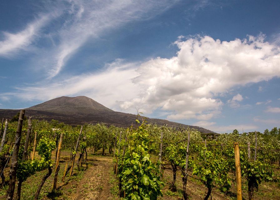 Shore Excursion: Pompeii&Wine Tasting W/Transfer From Port - Itinerary Details