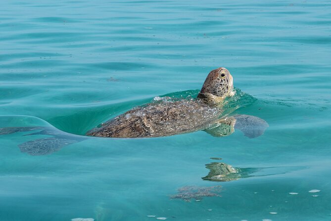 Sian Kaan Boat Tour: Full Day Experience - Reviews and Ratings