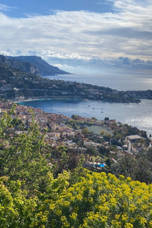 Small Group Guided Tour From Cannes - Tour Features