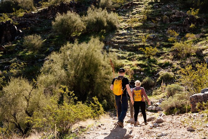 Sonoran Desert Private Hiking Adventure From Phoenix - Inclusions Provided