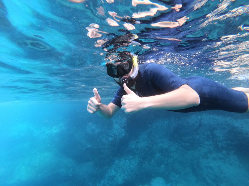 South Tenerife: Guided Snorkeling - Common questions