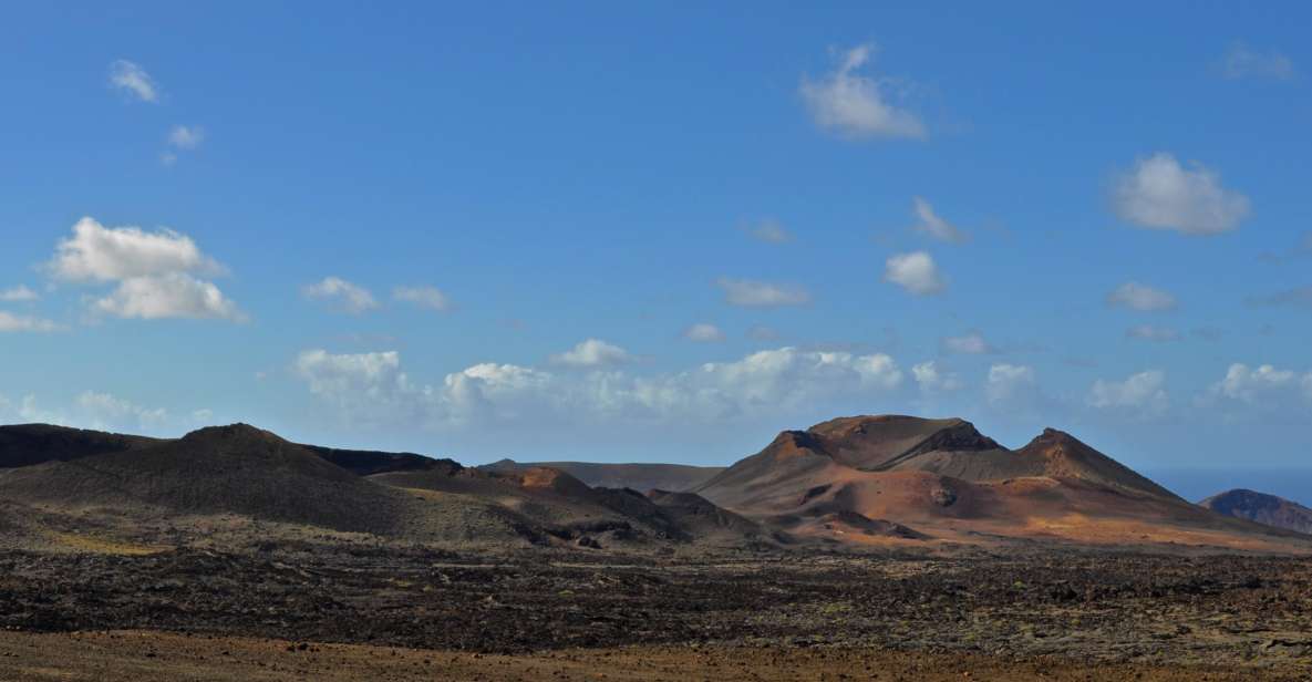 South Tour: Timanfaya National Park - Tour Inclusions