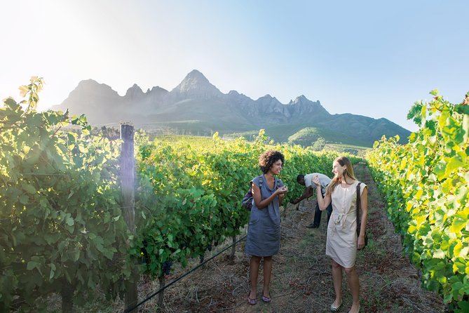 Stellenbosch and Franschhoek Private Full Day Wine Tour - Pricing Details