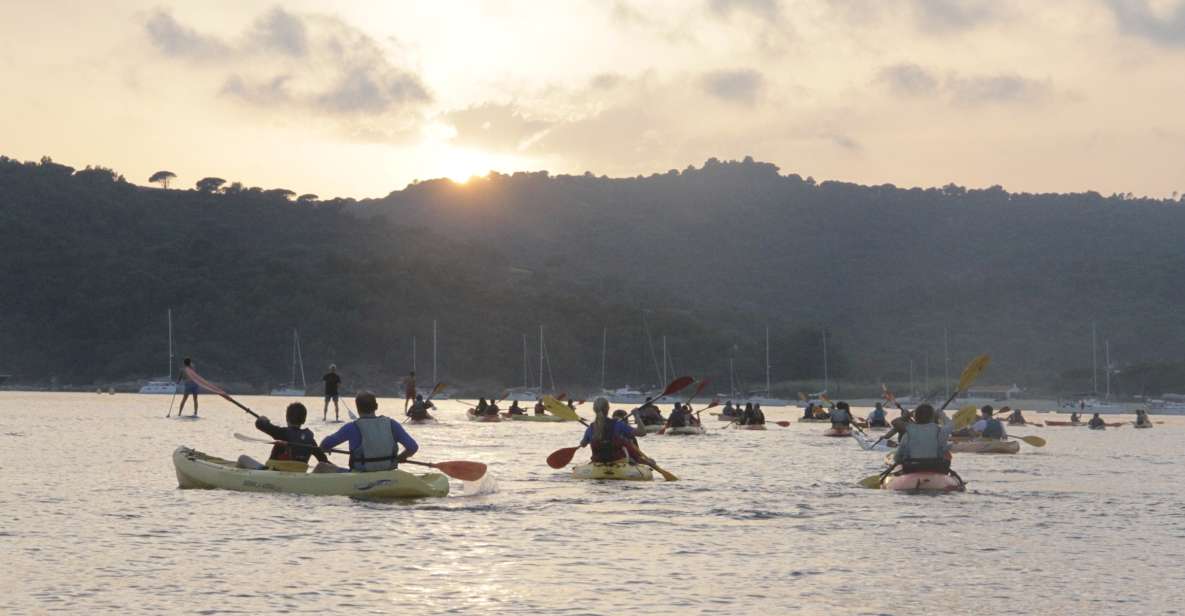 Sunset Trip Kayak Tour in the Gulf of Saint-Tropez - Important Information