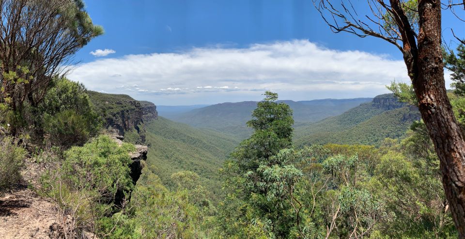 Sydney: Blue Mountains Featherdale and Wentworth Falls Tour - Experience Description