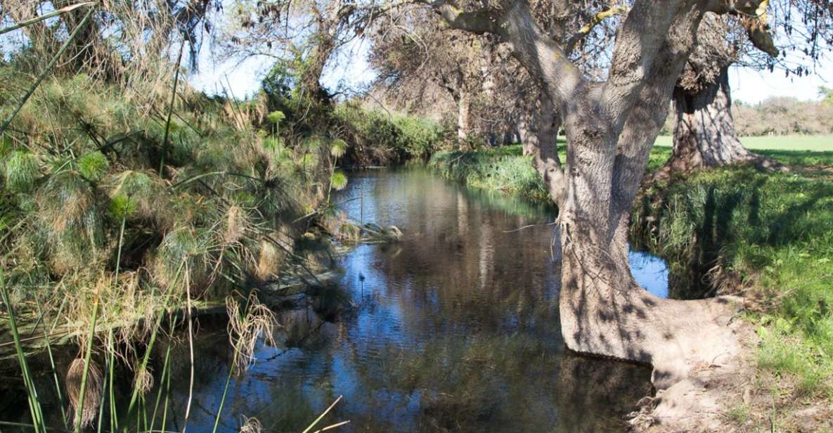 Syracuse: Ciane River Nature Reserve Guided Trek - Host and Language