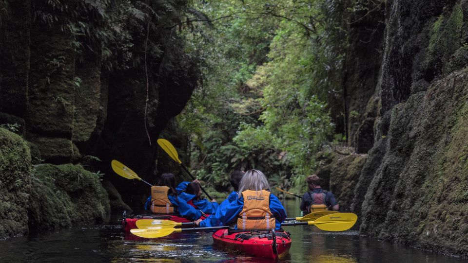 Tauranga: Scenic Lake Mclaren Kayak Tour - Full Description