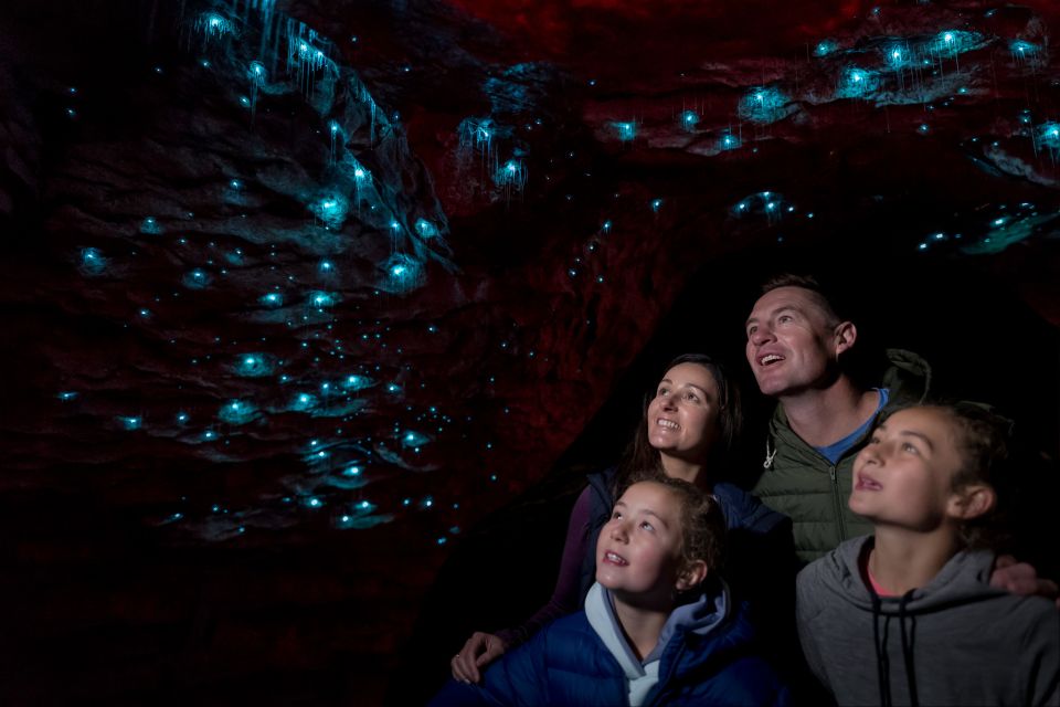 Te Anau: Glowworm Caves Guided Tour - Description