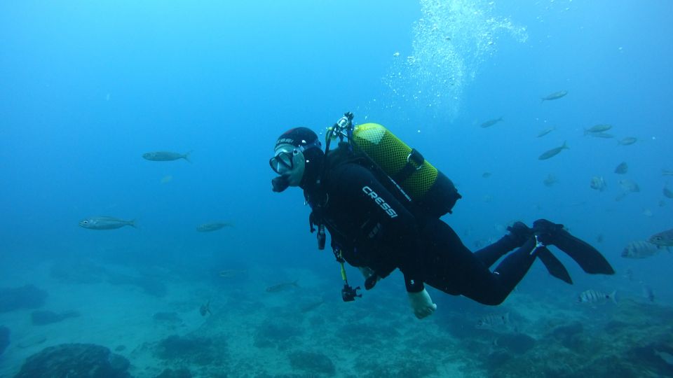 Tenerife: Discover Scuba Diving With Free Photos - Experience Highlights