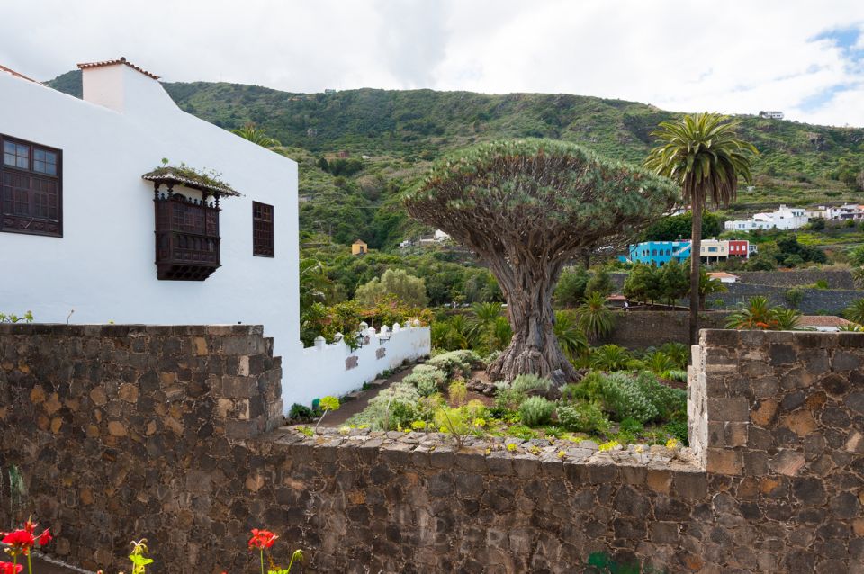 Tenerife: Full-Day Guided Island Tour - Inclusions