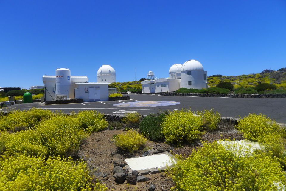 Tenerife: Take a Guided Tour of Mount Teide Observatory - Customer Reviews