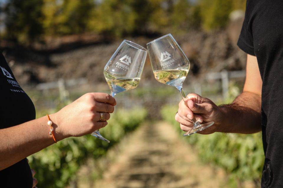 Tenerife: Tour of an Organic Vineyard With Tasting & Snacks - Tour Highlights